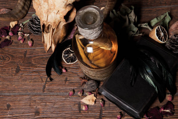 istock Vintage witchcraft still life with snake cobra and skull. 1311163218