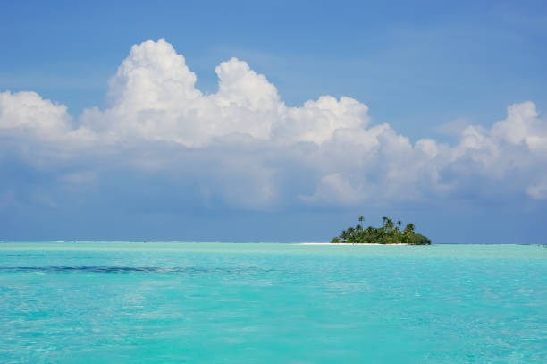 istock Uninhabited tropical island with palm trees. 1311165890