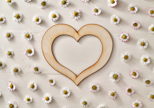 Wooden heart with common daisy flowers on a white background - spring concept with copy space
