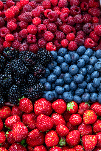 full frame filled with bright red and blue small fruits