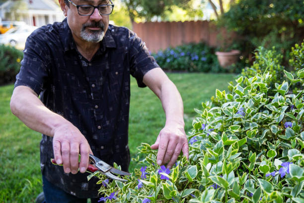 istock Outside Gardening 1311166958