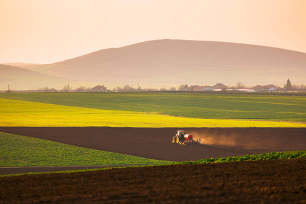 istock Farmer in tractor preparing farmland with seedbed for the next year 1311167059