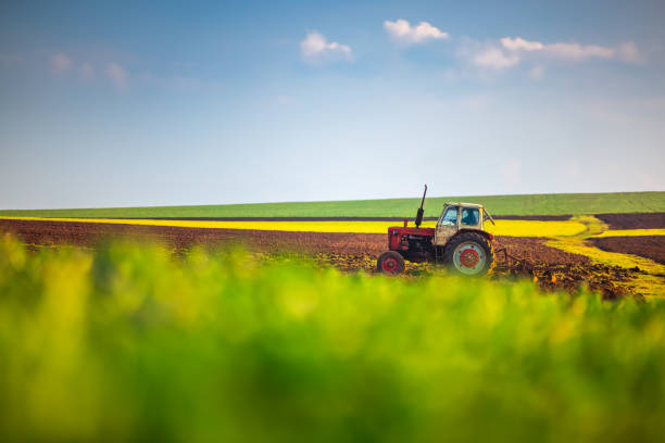 istock Tractor plowing the field, agricultural landscape 1311167062