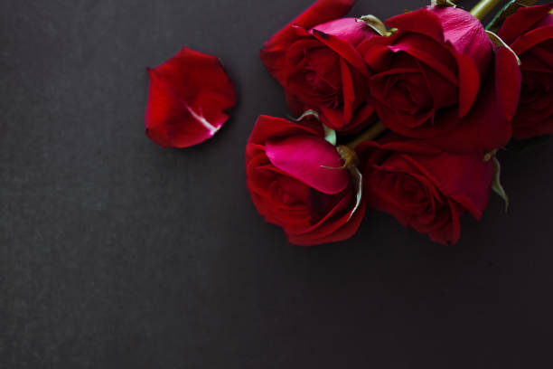 istock Red roses on black background with copy space. Holiday fashion backdrop. 1311171877