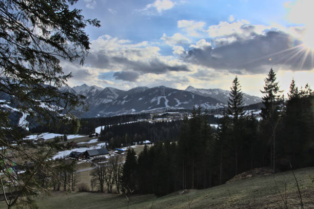 istock Spring scene with woods and snow mountains on a sunny day 1311172042