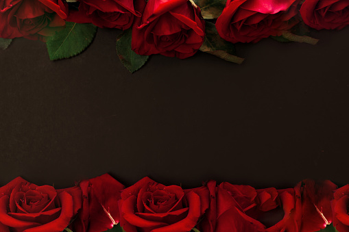 Red roses on black background with copy space. Holiday fashion backdrop.