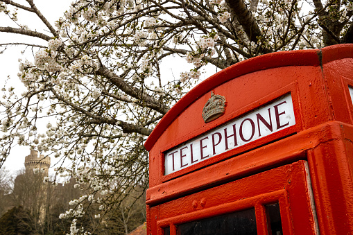 London Telephone Booth at St Paul's Cathedral gardens