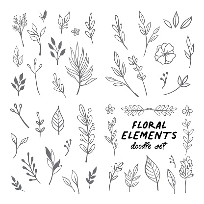 Flowers and leaves doodle collection. Hand drawn floral ornaments. Decorative plants illustrations.