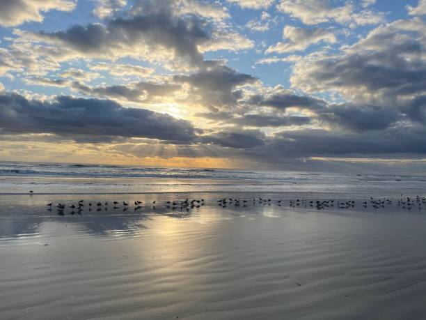 istock Where the Ocean meets the Sky 1311184316