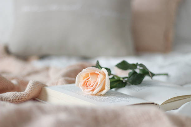 istock Bright White Bedroom with Single Rose and a book, Copy Space 1311185378