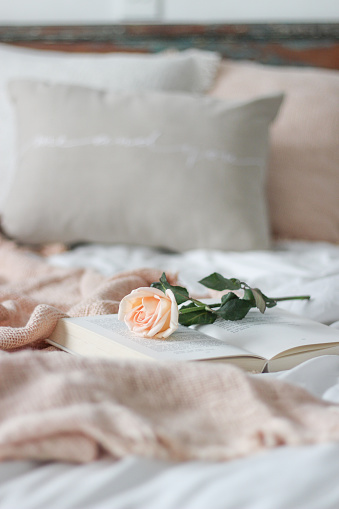 Single rose and a book