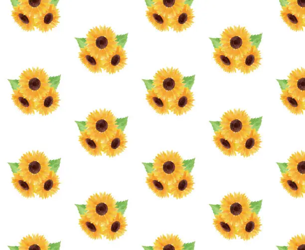 Vector illustration of sunflower illustration background white