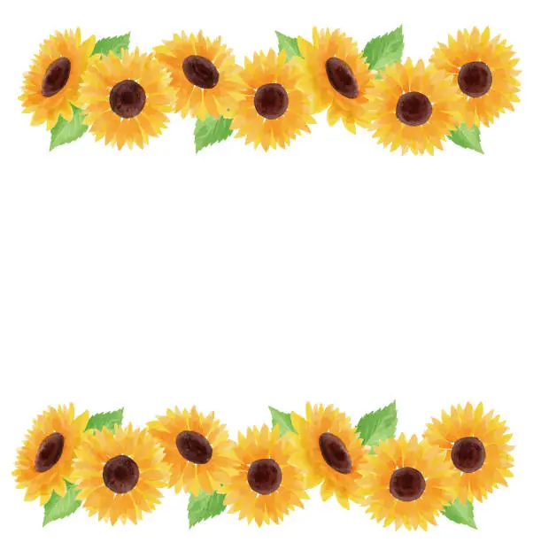 Vector illustration of sunflower illustration frame