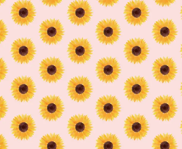 Vector illustration of sunflower illustration background orange