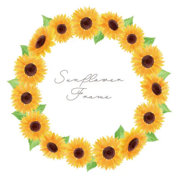 Vector illustration of sunflower illustration frame circle