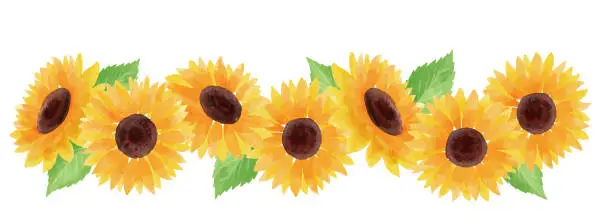 Vector illustration of sunflower illustration