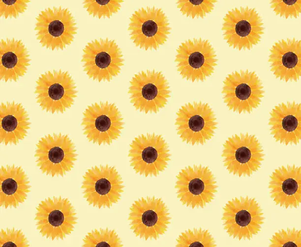 Vector illustration of sunflower illustration background yellow