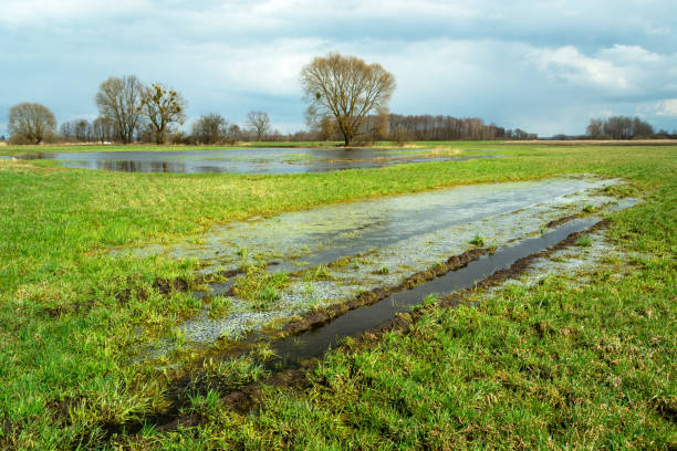 istock Water after winter on a green meadow and cloudy sky 1311189936