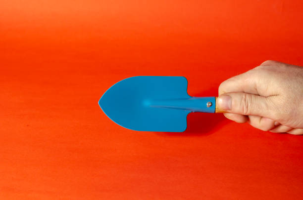 istock A man's hand holds a blue garden scoop with a wooden handle on a 1311190456