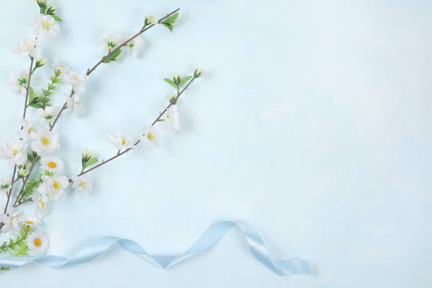 istock Abstract spring card, delicate pink background with blossoming branch with place for text, holiday concept with flowers, banner for screen, greeting card for mother's day, happy birthday, wedding, 1311191092
