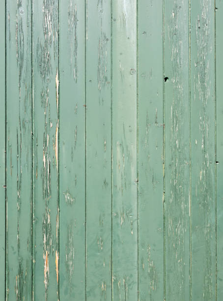 istock weathered green pant on old wooden planks 1311191280