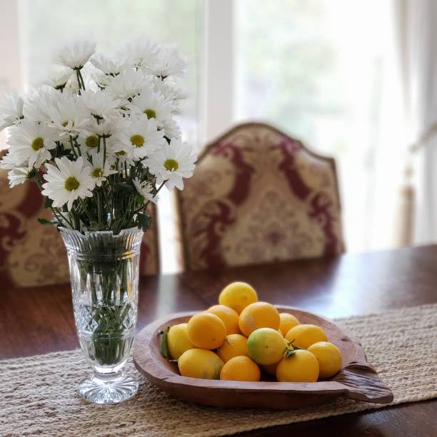 White Daisies & Lemons stock photo