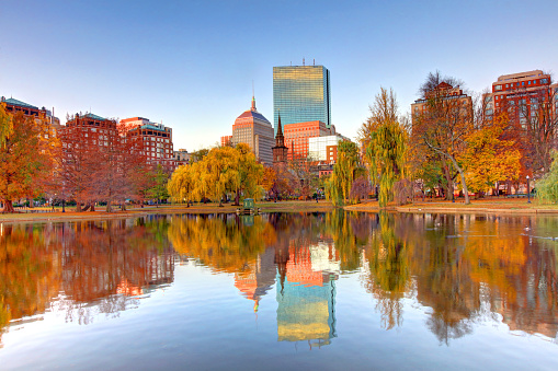 The Boston Public Garden, is a large park in the heart of Boston, Massachusetts, adjacent to Boston Common.