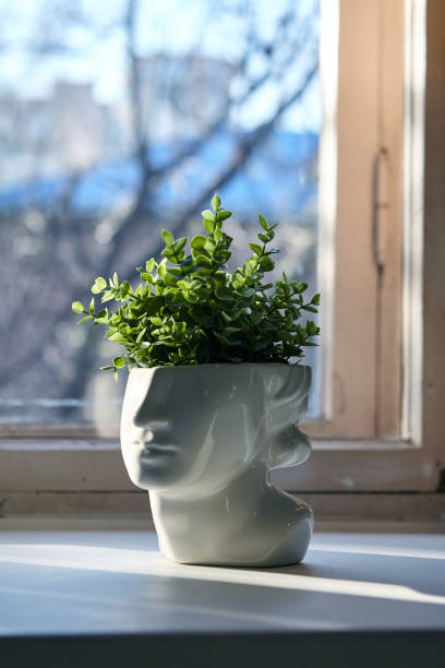 istock Vase in the shape of a face with greenery 1311198654