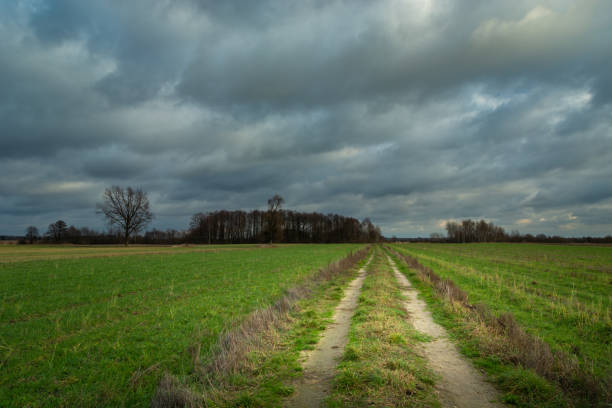 istock Rural road through green fields and dark clouds at the sky 1311198660