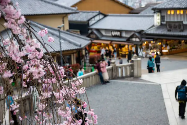 Prunus Pendula (Shidare Sakura or Zakura, weeping cherry tree) with blurred background at Kiyomizuzaka in Kyoto, Japan. Kiyomizuzaka is the street of Kiyomizu Dera Temple's Monzen-machi (temple town)