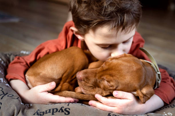 istock boy kisses sleeping puppy 1311208952