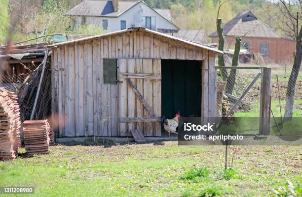 An Old Wooden Chicken Coop In The Mountains Stock Photo - Download Image Now - Chicken Coop, Agriculture, Animal
