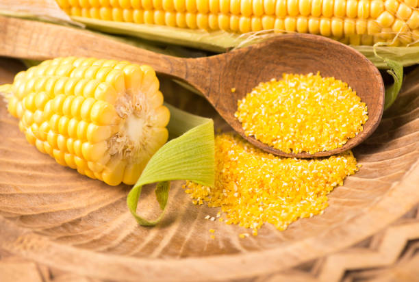 istock raw corn with green leaves on a white background 1311208996