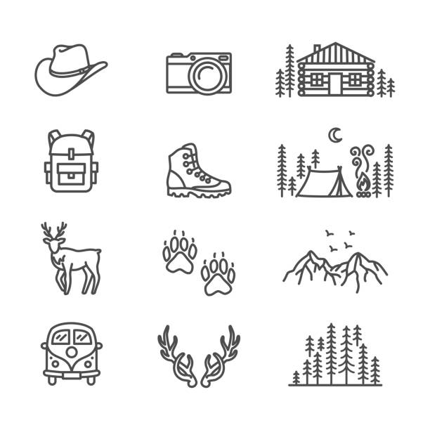 ilustrações de stock, clip art, desenhos animados e ícones de wilderness, slow travel in nature thin line style vector icon set - sign camera travel hiking