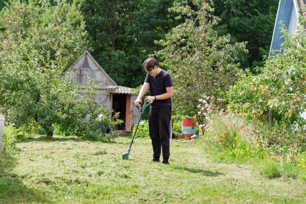 istock a young man cuts the grass with a trimer at his summer cottage 1311215834