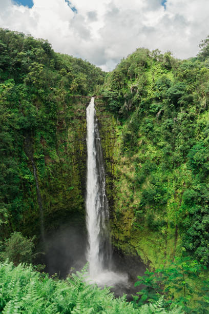 akaka cade - hawaii islands big island waterfall nobody foto e immagini stock