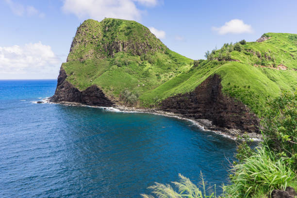 istock Elephant Head at Kahakuloa, Maui, Hawaii 1311220852