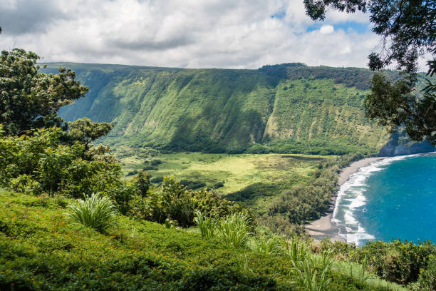 istock Waipio-Valley Big Island 1311220951