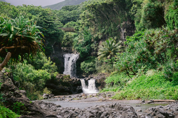 seven sacred pools waterfalls at pipiwai trail maui - haleakala national park imagens e fotografias de stock