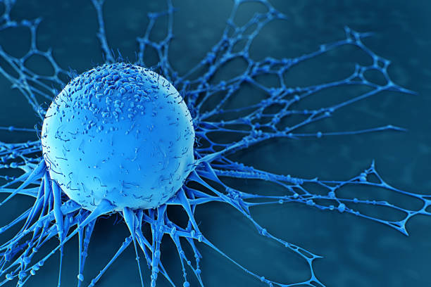 Human Cancer Cell Human Cancer Cell brain tumour photos stock pictures, royalty-free photos & images
