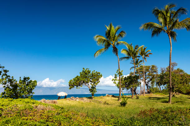 istock Shores of Kaanapali 1311223706