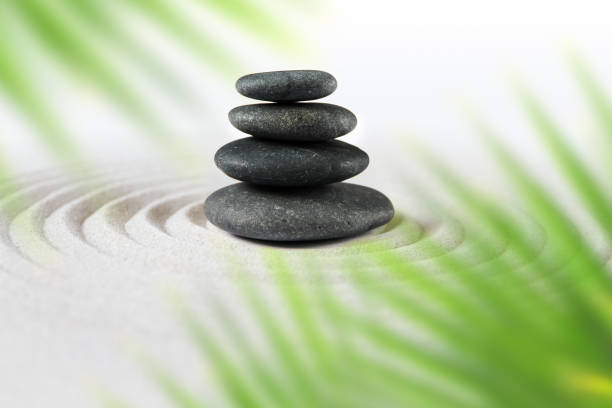 istock Zen natural japanese garden background 1311225579