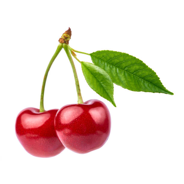 istock sweet cherry fruits isolated on white background 1311227094