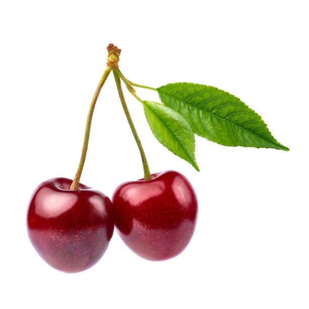 istock sweet cherry fruits isolated on white background 1311227100