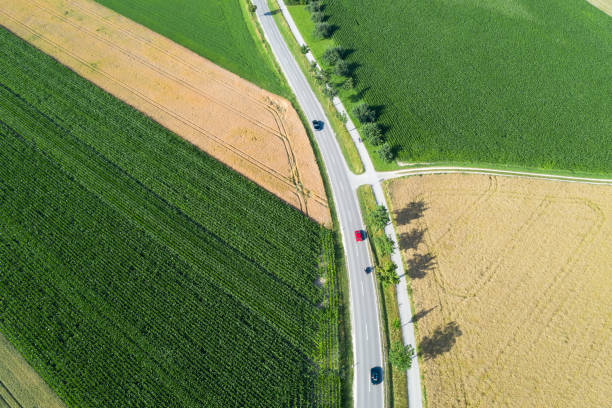 istock Aerial View of Road Between Fields, Cars Speeding 1311227620