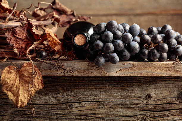 garrafa de vinho tinto com uvas e videira seca em uma velha mesa de madeira. - port wine madeira wine bottle vine - fotografias e filmes do acervo