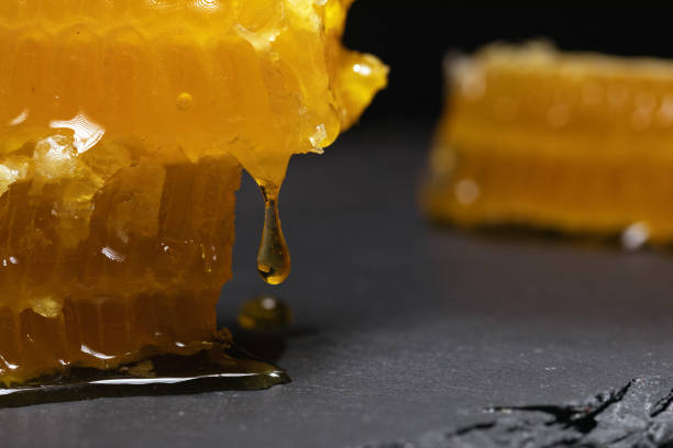 istock gloden broken honeycomb slices with dripping fresh honey on blur background 1311228951