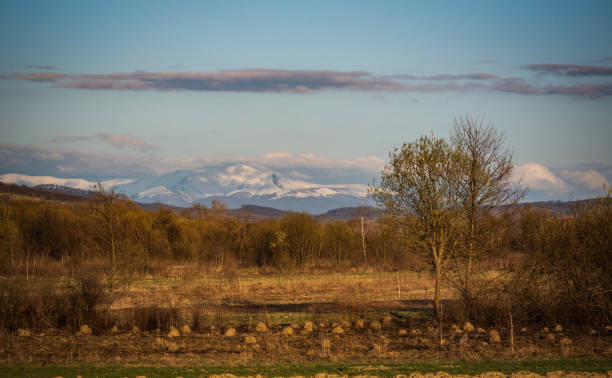 istock Spring landscape in the Carpathian mountains 1311229012