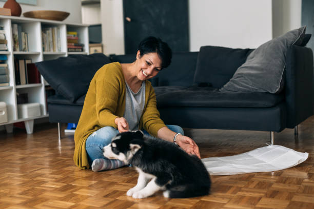 istock woman at home enjoying time with her dog 1311232762