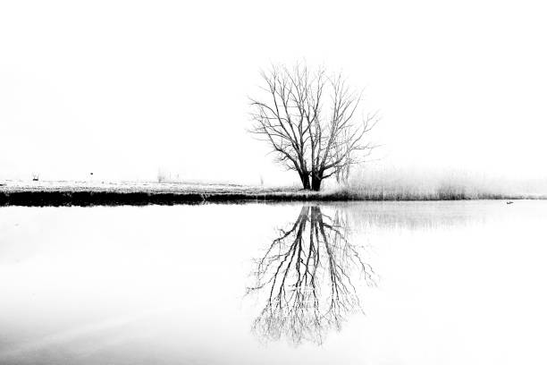 istock LAKE NOVATE MEZZOLA 1311235652